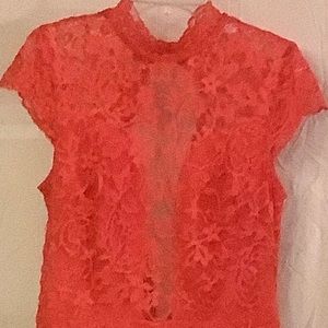 New bebe lace dress